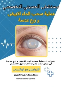 عملية النزول الابيض في ايران